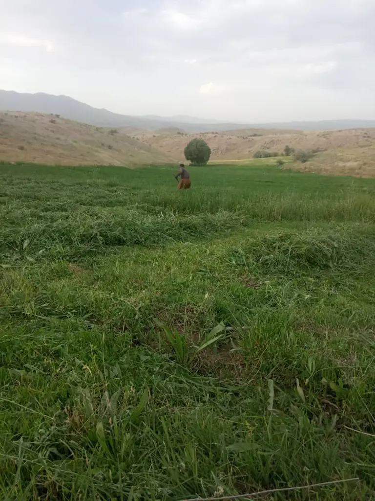 تصویر شماره 1 محصول 