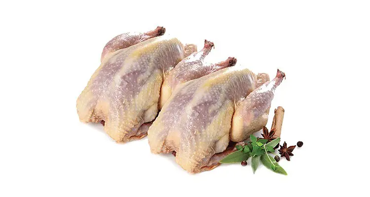 تصویر شماره 1 محصول 