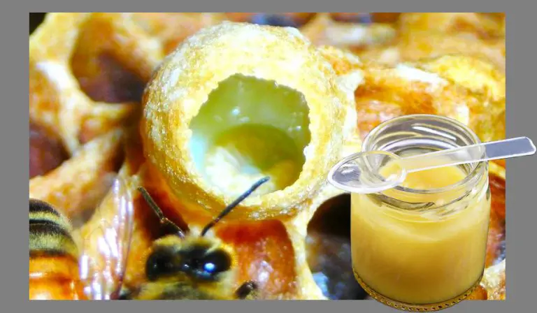 تصویر شماره 1 محصول 