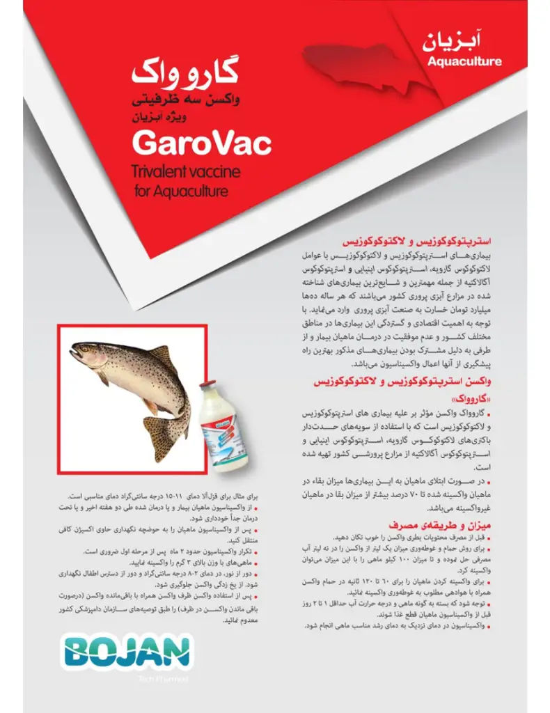 تصویر شماره 2 محصول 