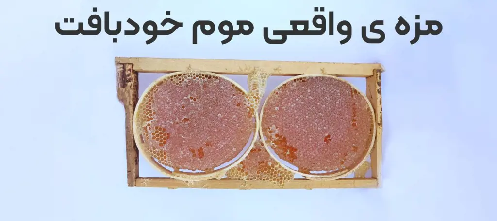 تصویر شماره 1 محصول 