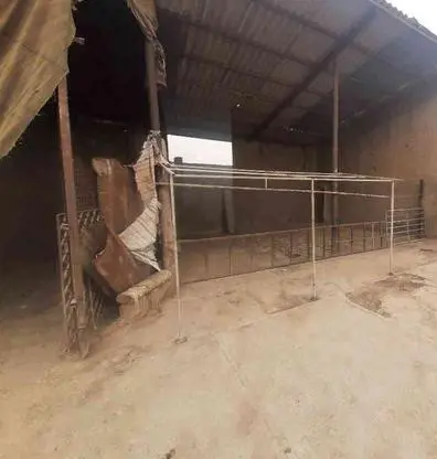 تصویر شماره 2 محصول 