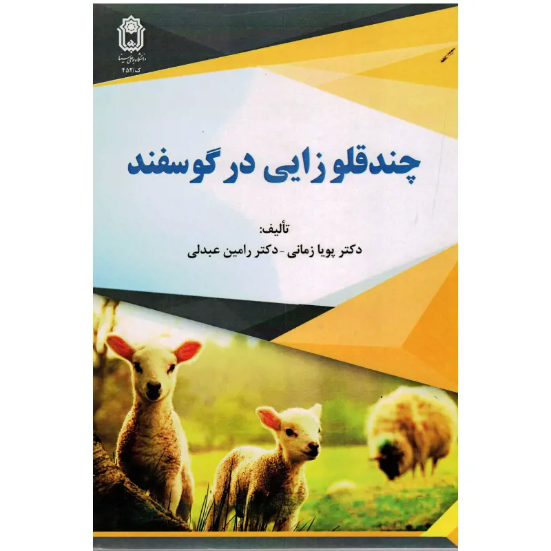 تصویر شماره 1 محصول 