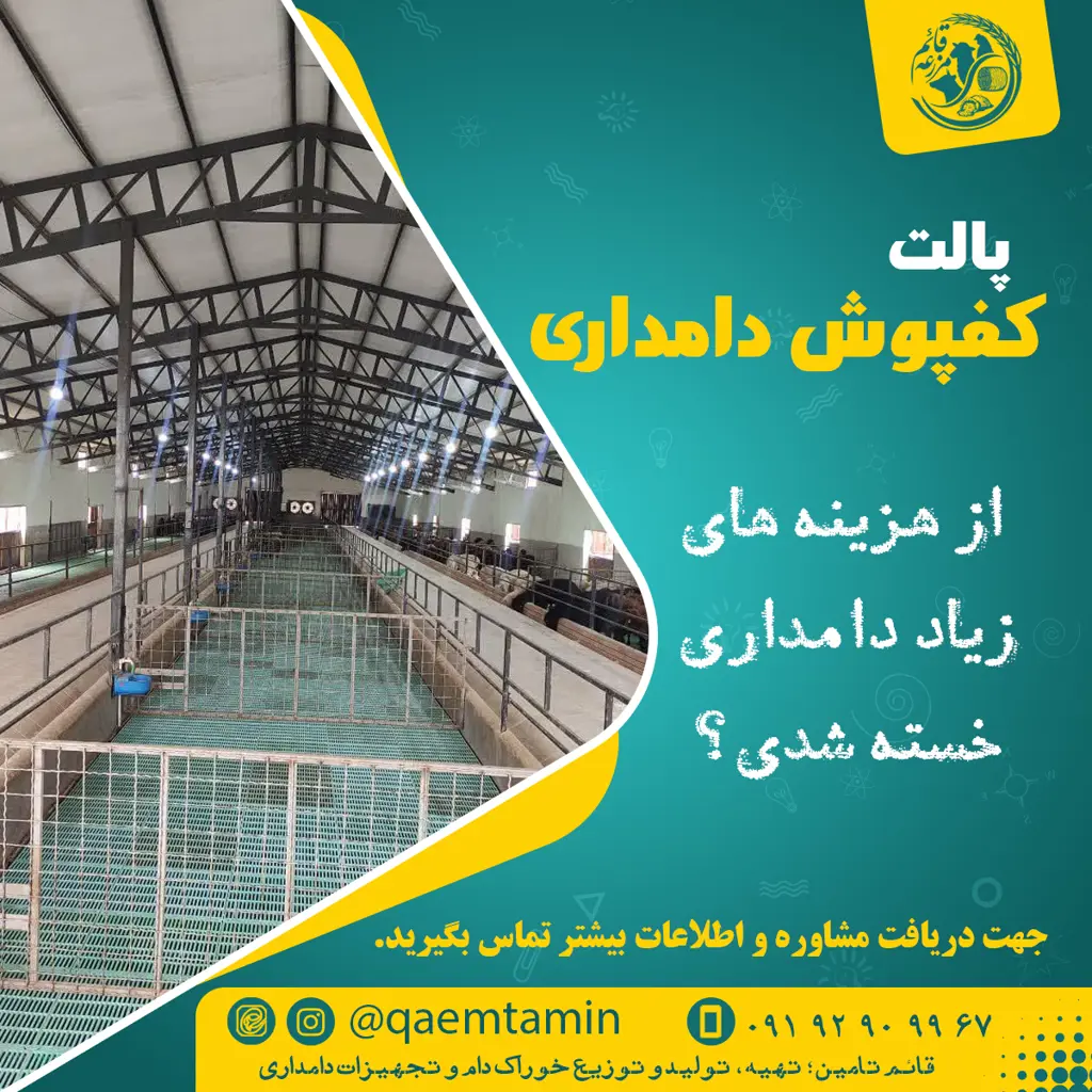 تصویر شماره 4 محصول 