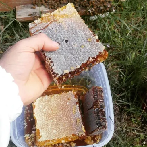 تصویر شماره 2 محصول 