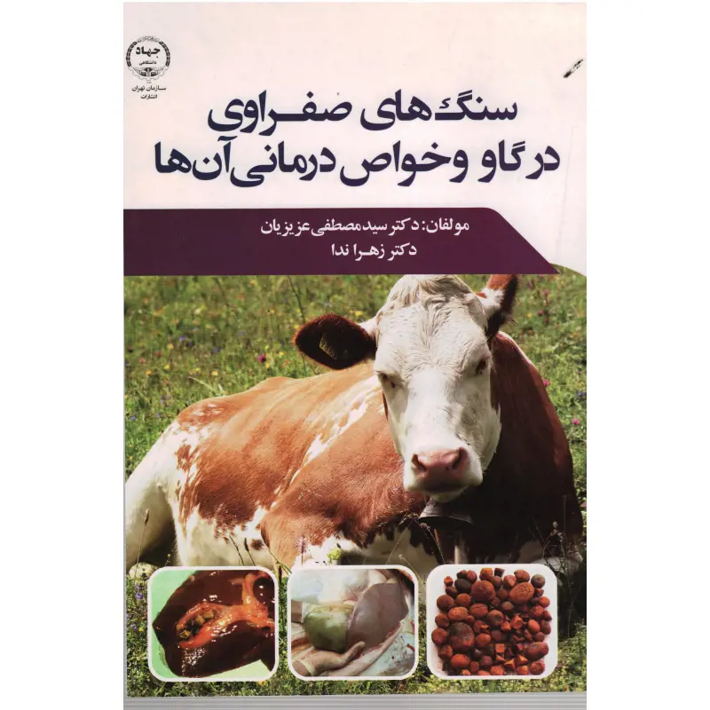 تصویر شماره 1 محصول 