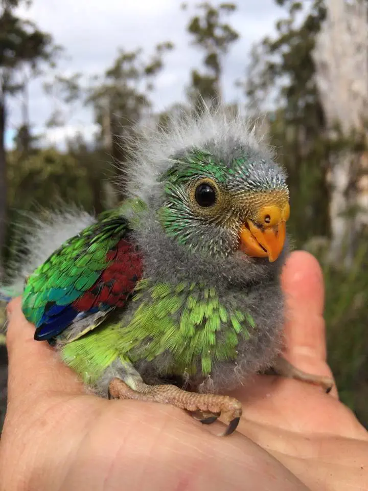 تصویر شماره 1 محصول 