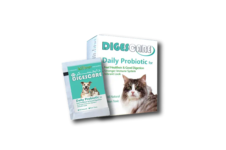 تصویر شماره 1 محصول 