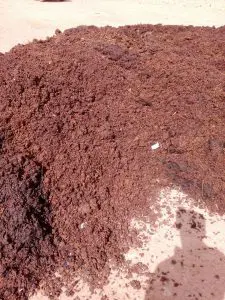 تصویر شماره 1 محصول 