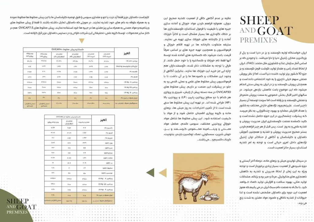 تصویر شماره 1 محصول 