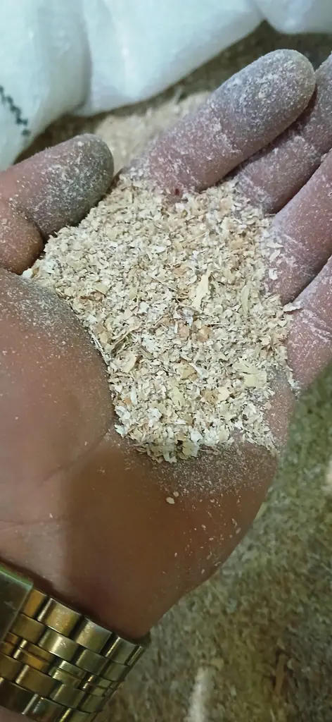 تصویر شماره 2 محصول 