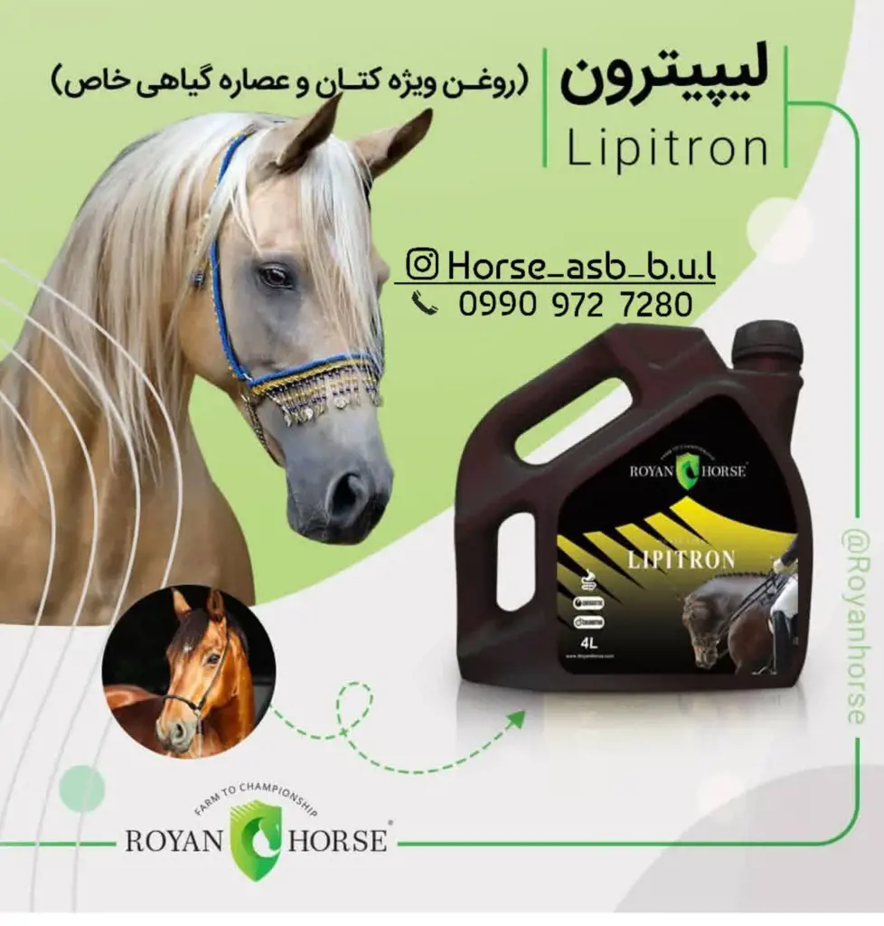 تصویر شماره 1 محصول 