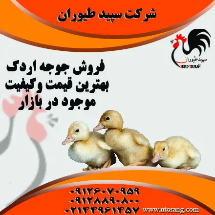 تصویر شماره 3 محصول 