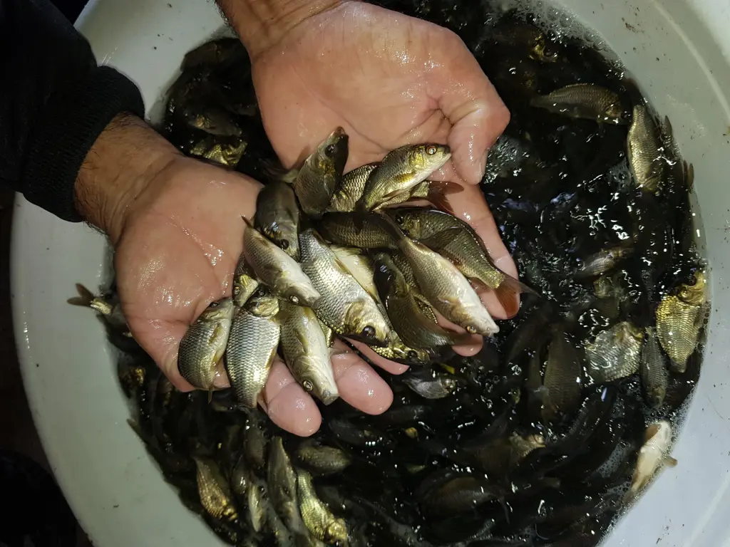 تصویر شماره 1 محصول 