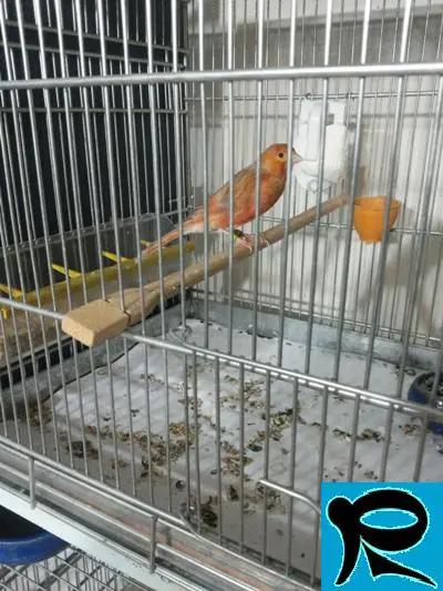 تصویر شماره 3 محصول 