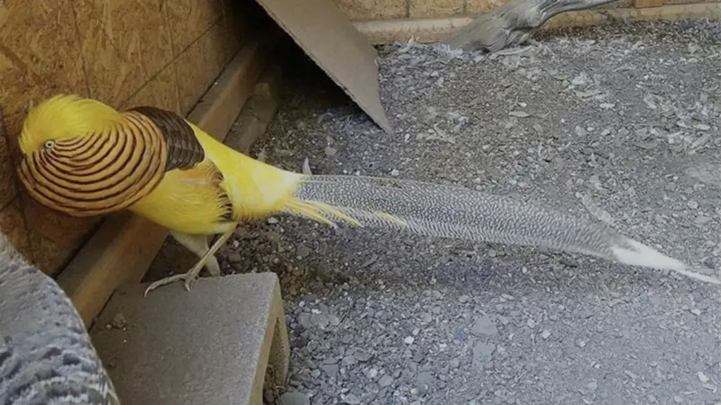 تصویر شماره 1 محصول 