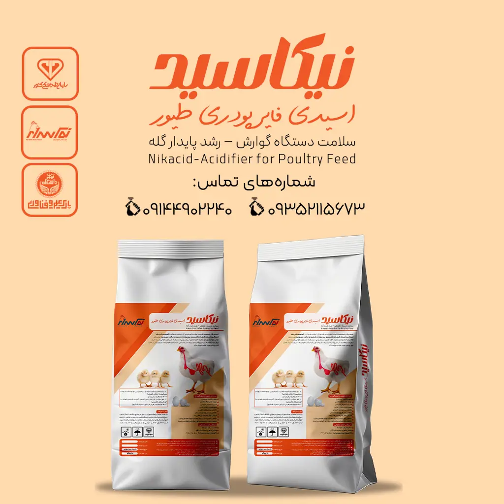 تصویر شماره 1 محصول 