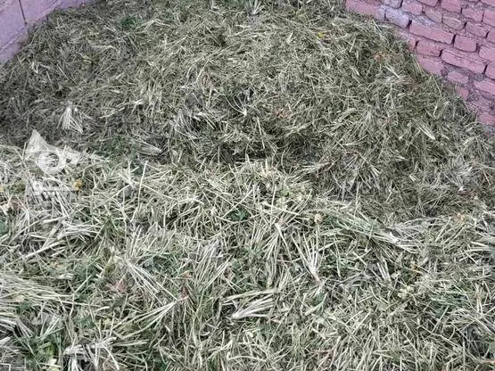 تصویر شماره 3 محصول 