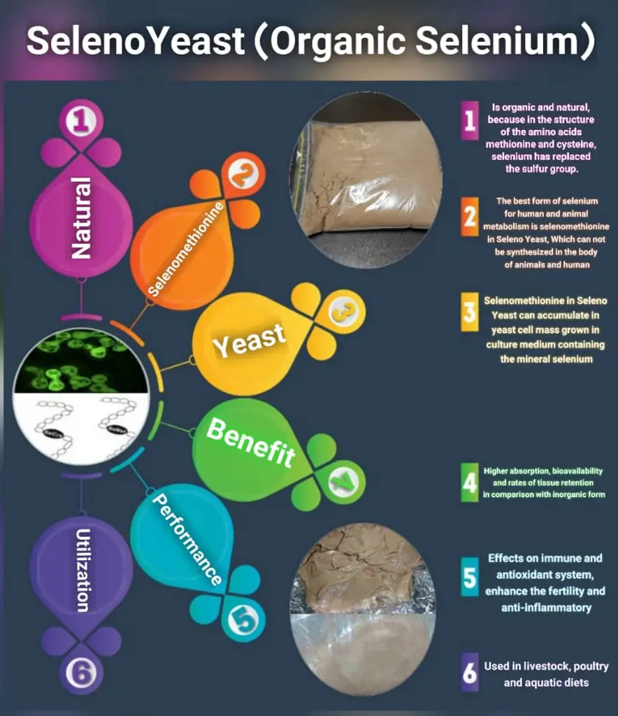 تصویر شماره 1 محصول 