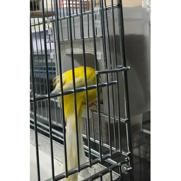 تصویر شماره 2 محصول 