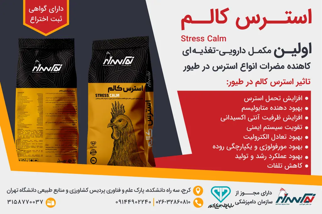 تصویر شماره 3 محصول 