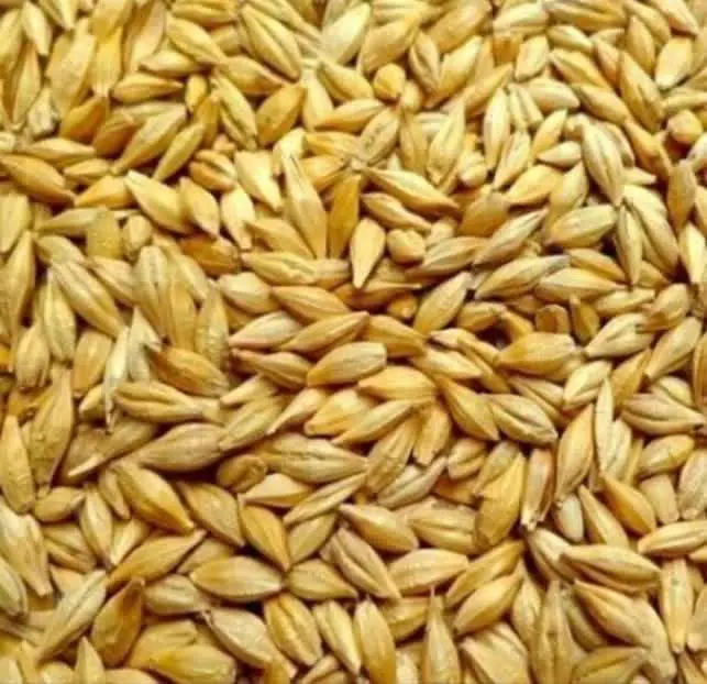 تصویر شماره 2 محصول 