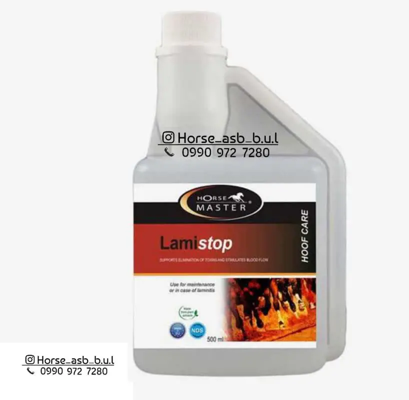 تصویر شماره 1 محصول 