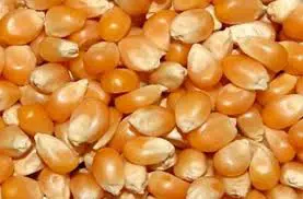 تصویر شماره 1 محصول 