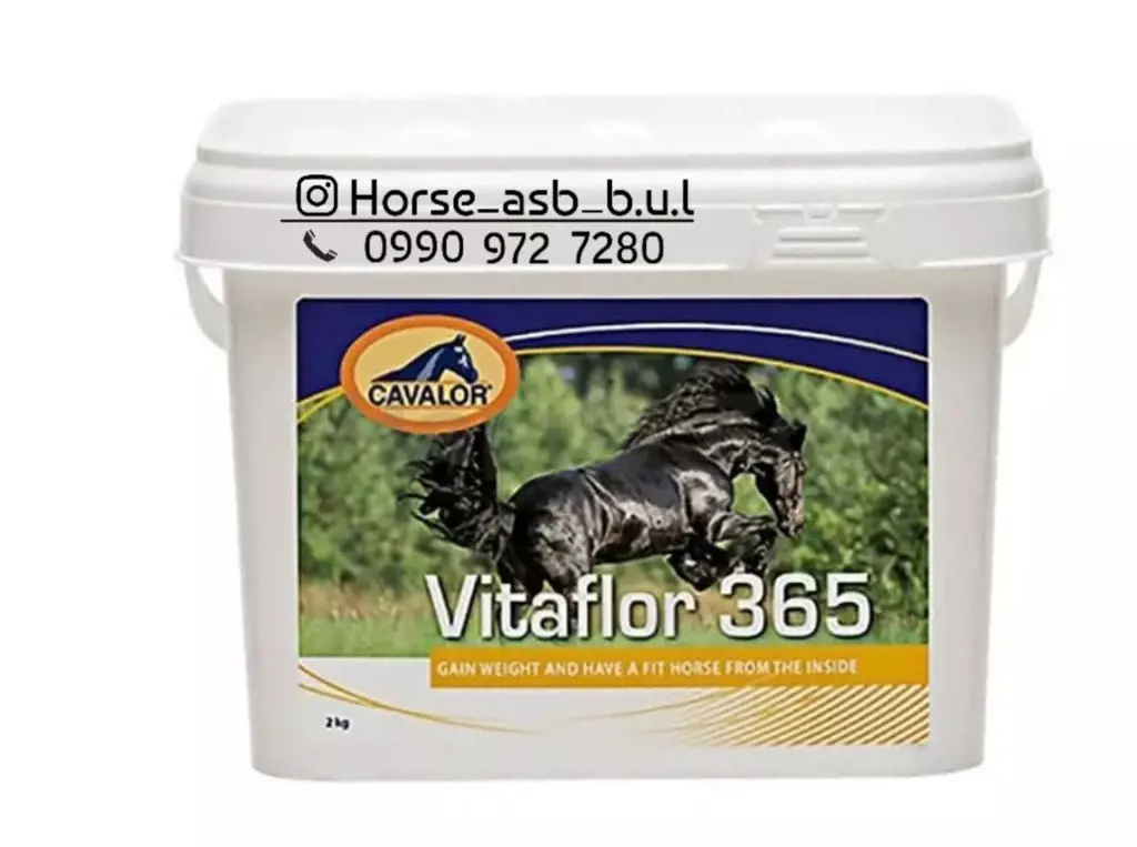 تصویر شماره 1 محصول 