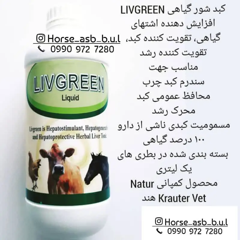 تصویر شماره 1 محصول 