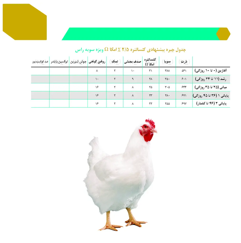 تصویر شماره 4 محصول 