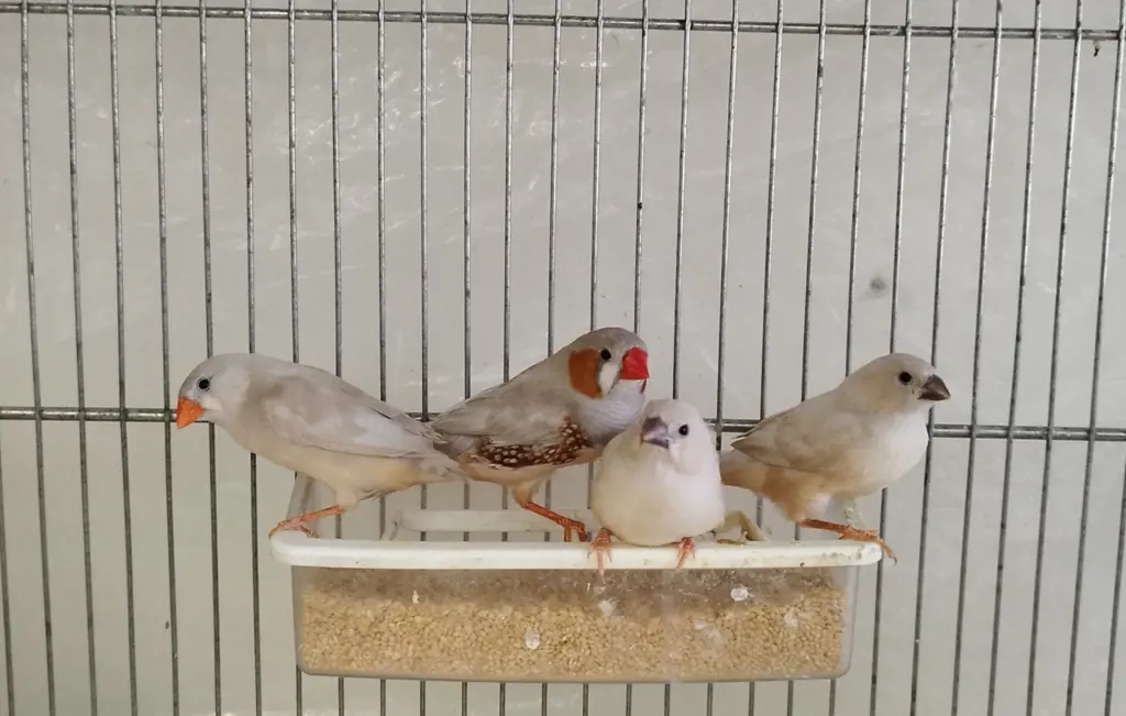 تصویر شماره 3 محصول 