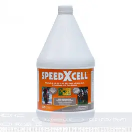 تصویر شماره 2 محصول 