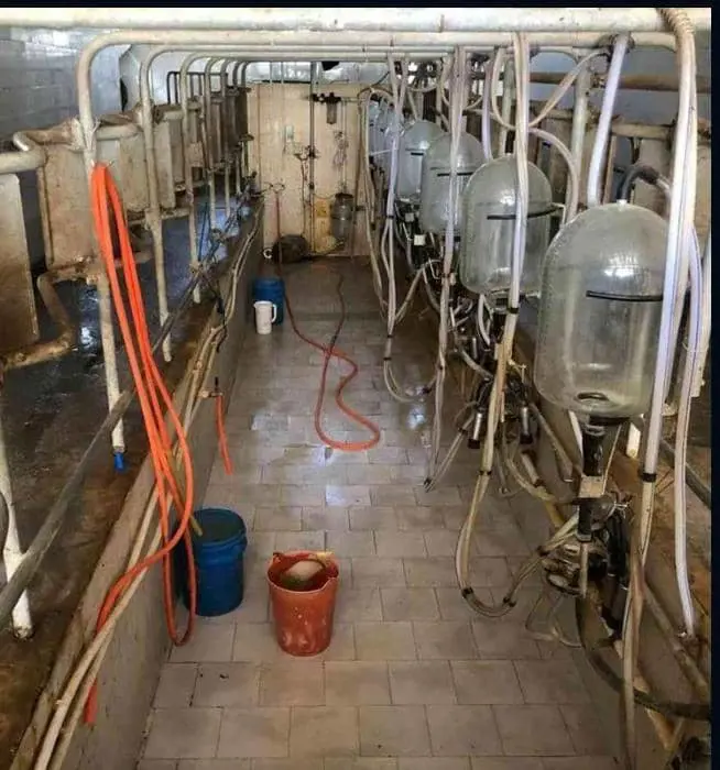 تصویر شماره 4 محصول 