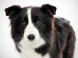 تصویر شماره 3 محصول 