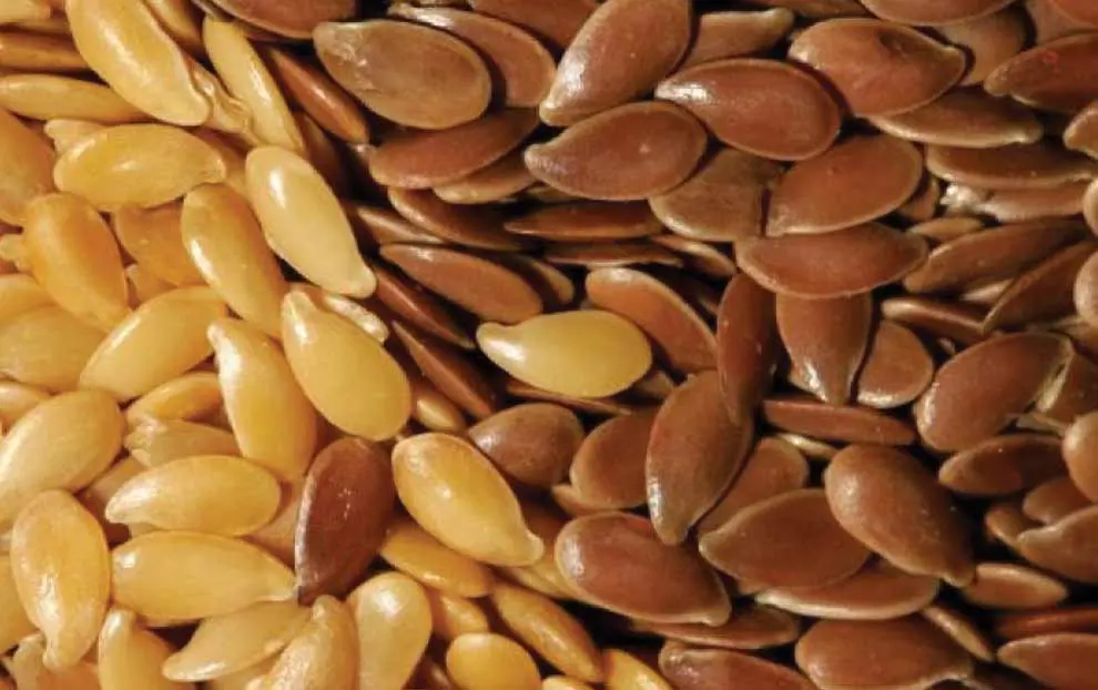 تصویر شماره 2 محصول 