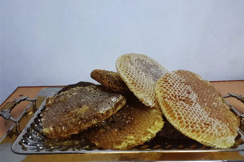 تصویر شماره 1 محصول 