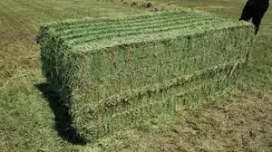 تصویر شماره 1 محصول 