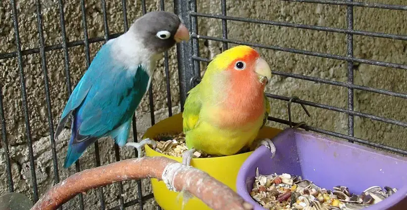 تصویر شماره 1 محصول 