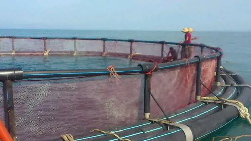 تصویر شماره 1 محصول 