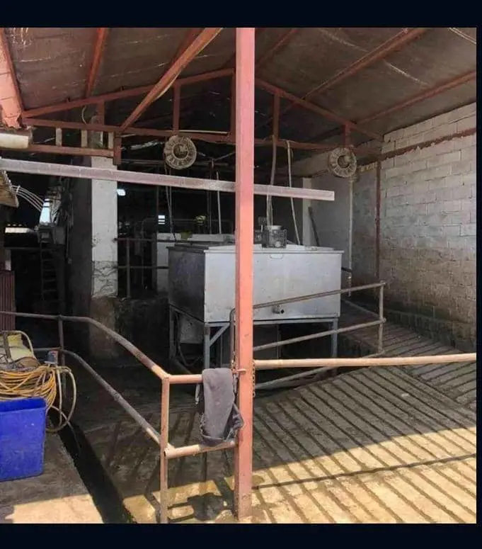 تصویر شماره 2 محصول 