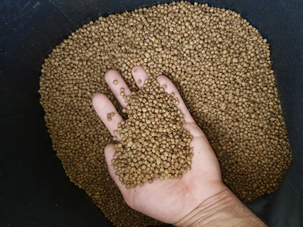 تصویر شماره 2 محصول 