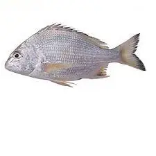 تصویر شماره 1 محصول 