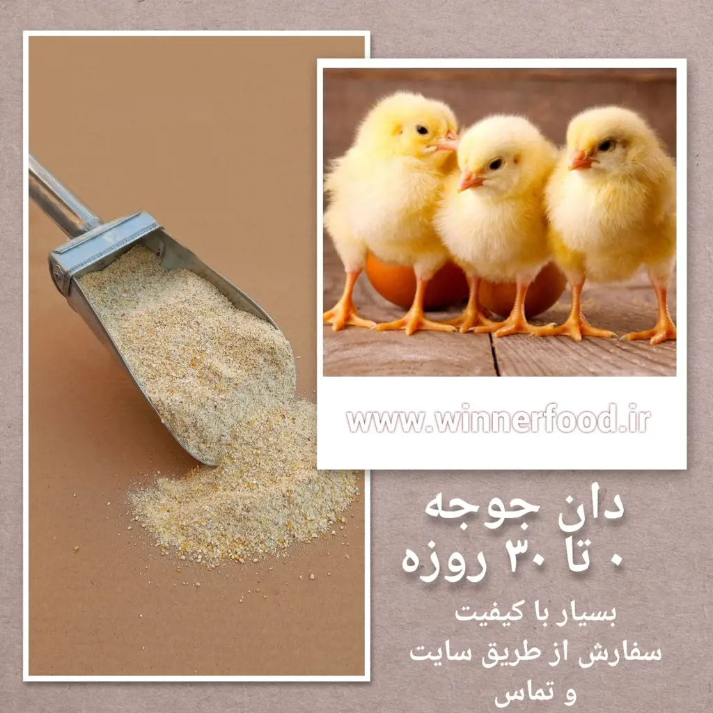 تصویر شماره 1 محصول 