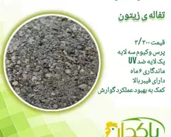 تصویر شماره 1 محصول 