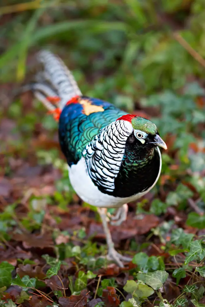 تصویر شماره 3 محصول 