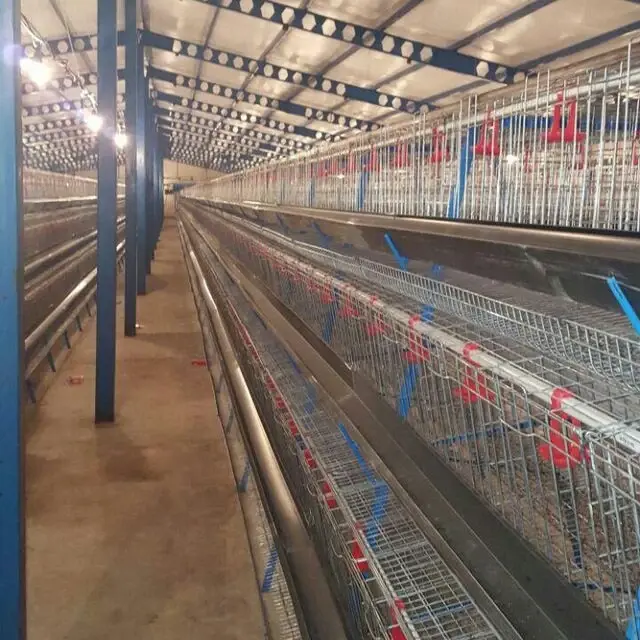 تصویر شماره 1 محصول 