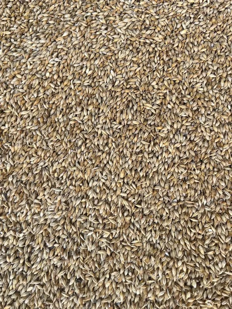 تصویر شماره 2 محصول 