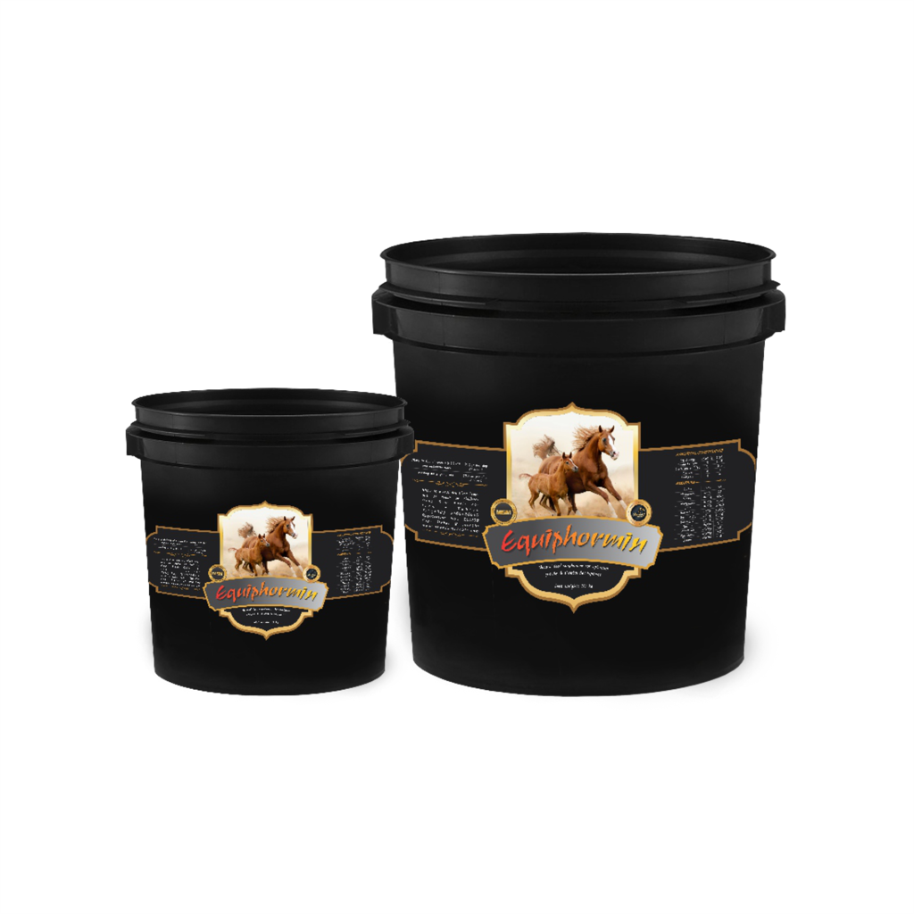 تصویر شماره 4 محصول 