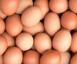 تصویر شماره 1 محصول 